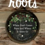 Big Apple Curry’s “A Mother’s Hands” now in BlogHer’s book “ROOTS: Where Food Comes From & Where It Takes Us”