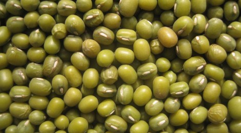 Indian Cooking FAQ - Questions from our readers! What can I make with mung beans?