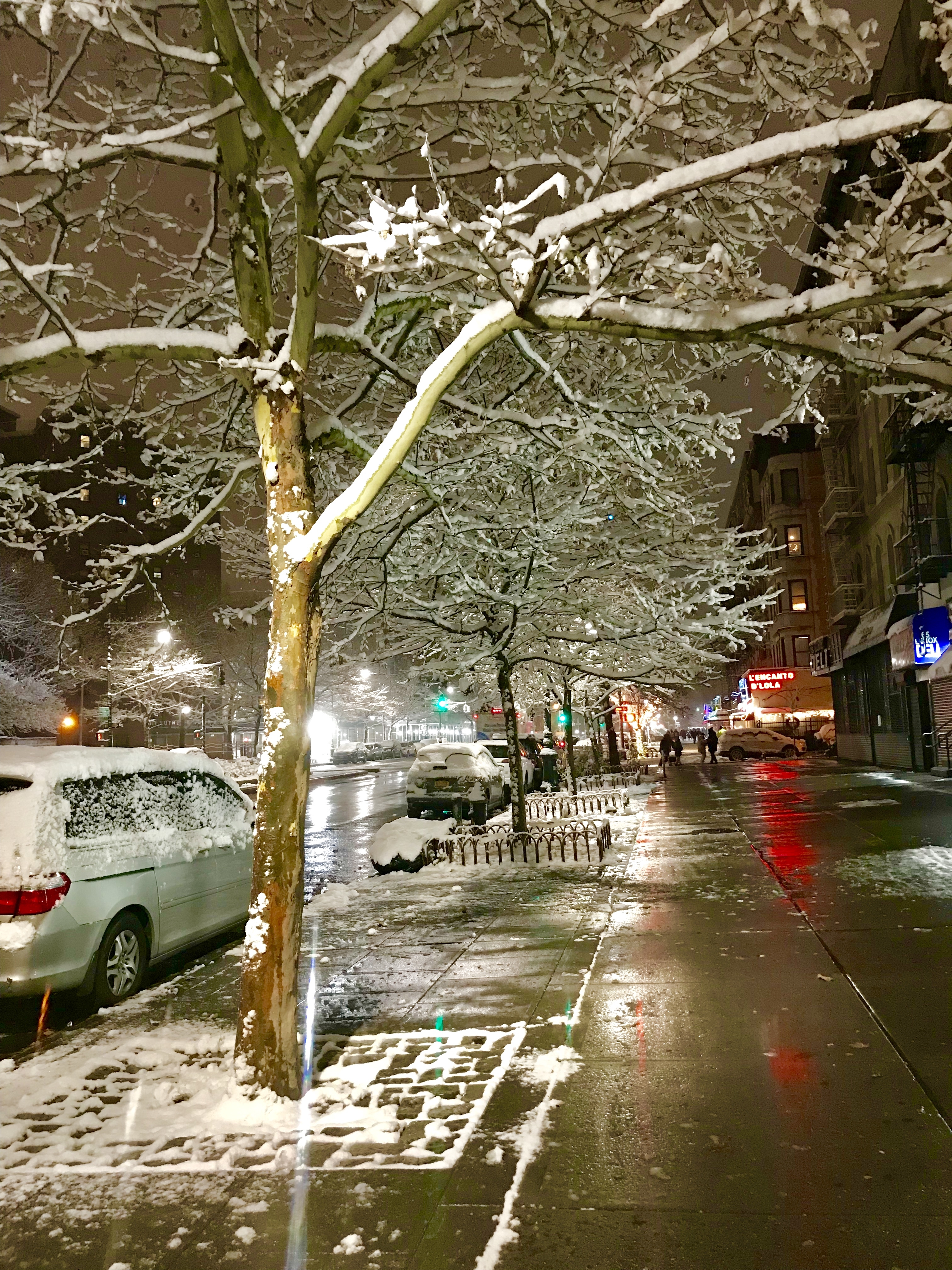 First snowfall of 2017 in Harlem